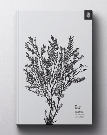 An Elegant Puzzle - Systems of Engineering Management